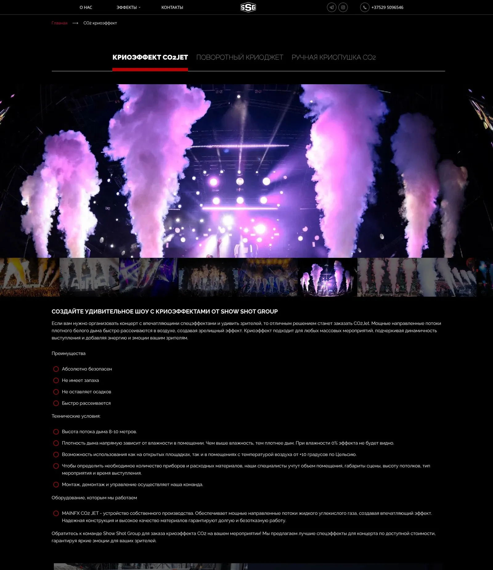 SFX.BY — страница эффекта с вкладками вариантов оборудования